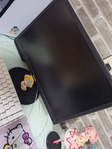 monitor zinnia delfos 19 pol USADO