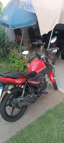 Factor 150 2023