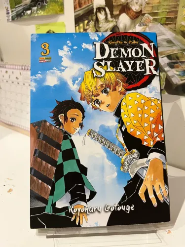 Mangá Demon Slayer vol 3