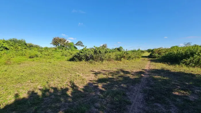 Granja 5 Hectares Rio dos Índios, Vale de Ceará-Mirim, Acesso na pista.