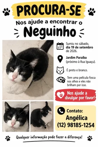 Gatinho