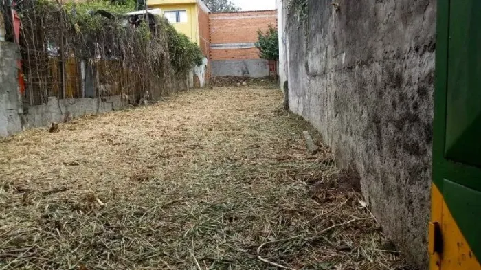 Terreno - São Paulo - SP - Vila Talarico