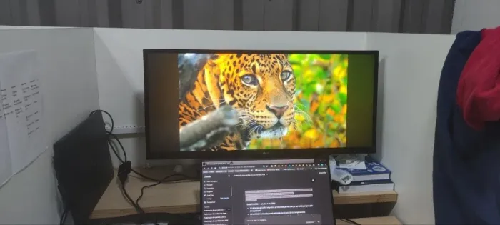 MONITOR ULTRAWIDE 29