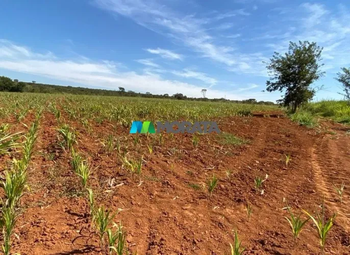 FAZENDA À VENDA - 123 HECTARES - CURVELO (MG)