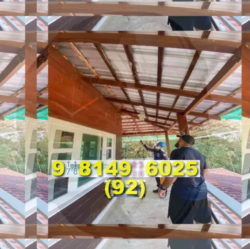 Dedetização: você já observou insetos em casa? Entre em contato e resolva isso!