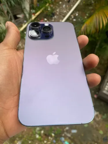 Celular 
