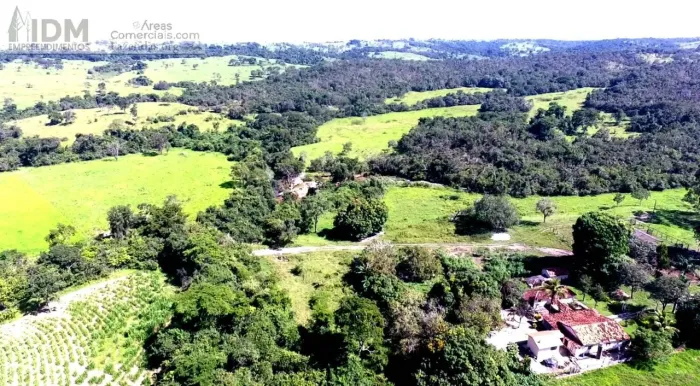 Fazenda Pecuária com 150ha em Catalão - GO