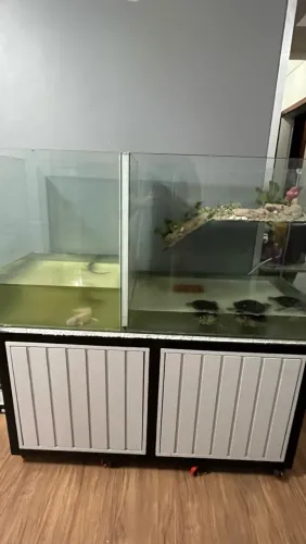 Aquaterrario+aquario