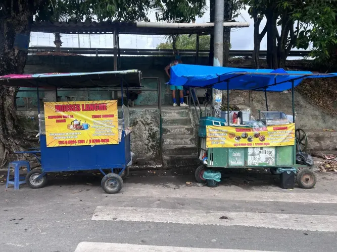 Duas carrosas em perfeito estado, uma de caldo de cana e outra normal