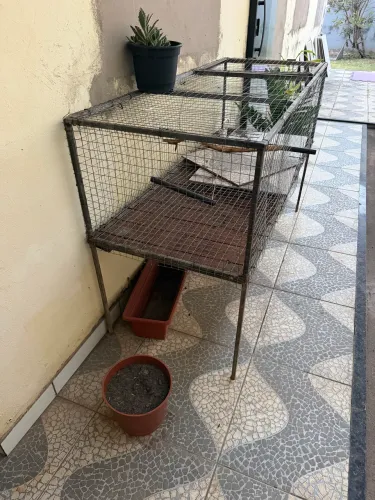 Gaiola para Criação 