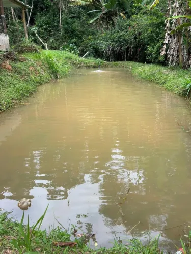 Chácara em Domingos Martins 