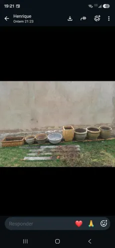 Caqueiros / jarros de plantas