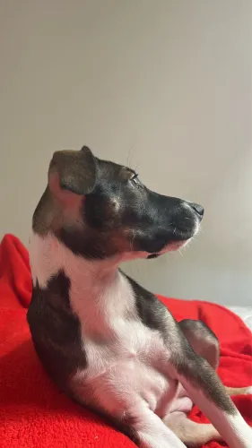 Doação