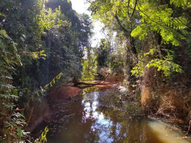 Vendo terreno em Valsugana Velha (Penha)