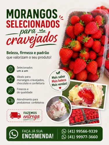 Morangos para seu Cravejado