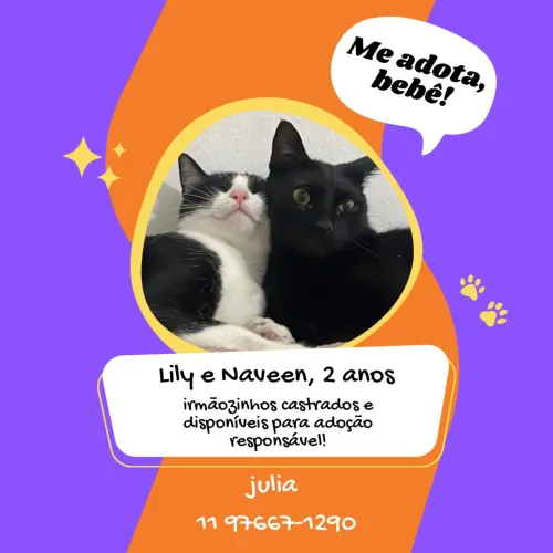 doação urgente
