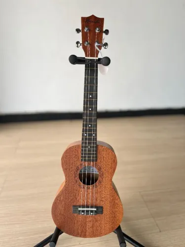 Ukulele tenor