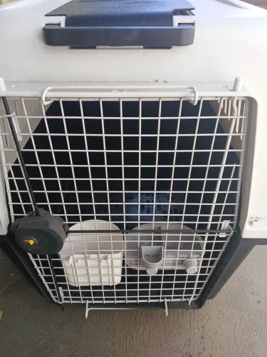Caixa de transporte pet grande