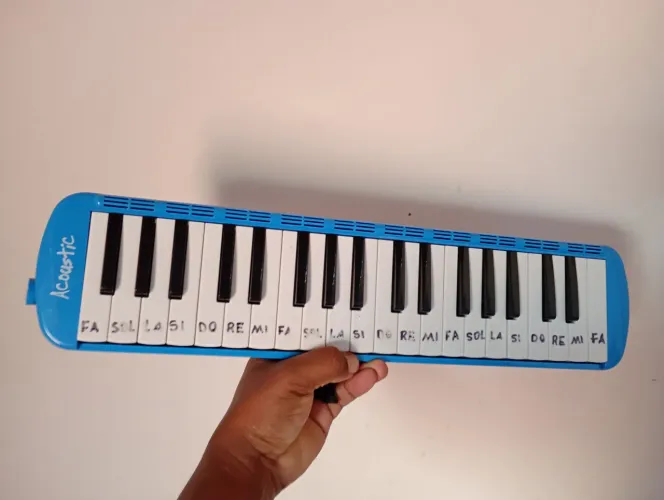 Escaleta musical novo