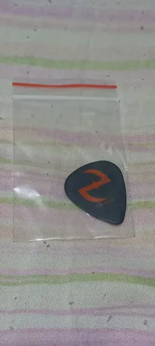 Palheta Evanescence Tim McCord