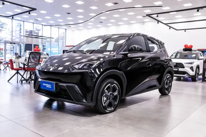 BYD Dolphin Mini (Elétrico) 2025