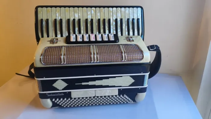 Acordeon Italiano Marotta 120 Baixos