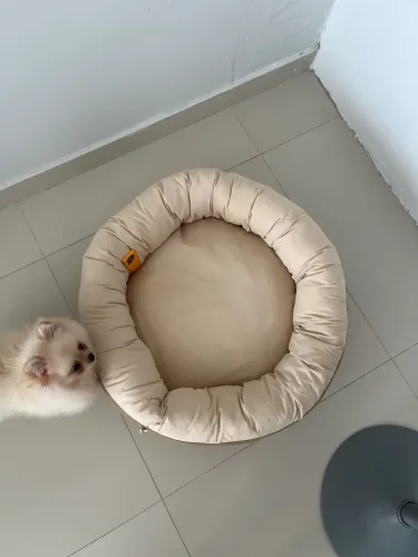 Faça seu pet feliz!!