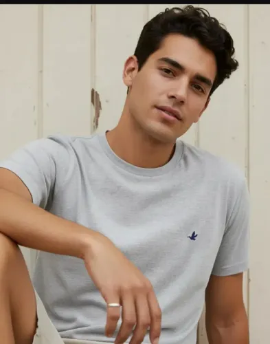 Camiseta brooksfield tam g com cinza