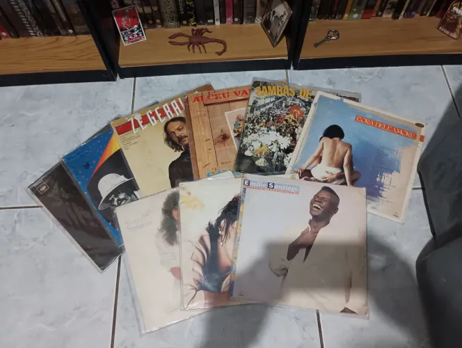 Lote com 9 Lps - Alceu Valença, Zé Geraldo, Emílio Santiago, Simone, outros vídeos fotos