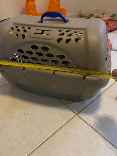 Transporte de pet