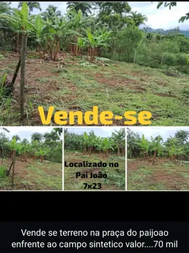 Tereeno