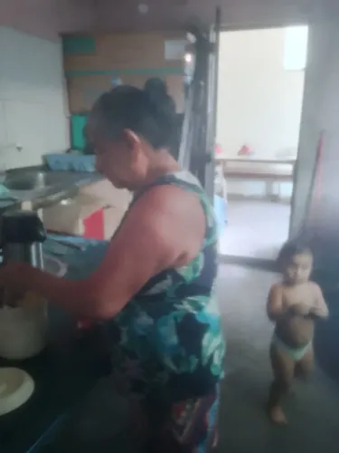 Dedetização wf
