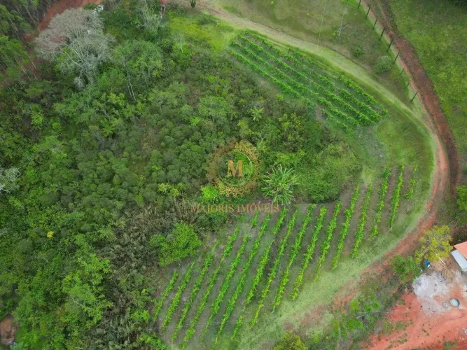 Terreno com 274 mil metros, 02kms do asfalto - Montanhas Capixabas