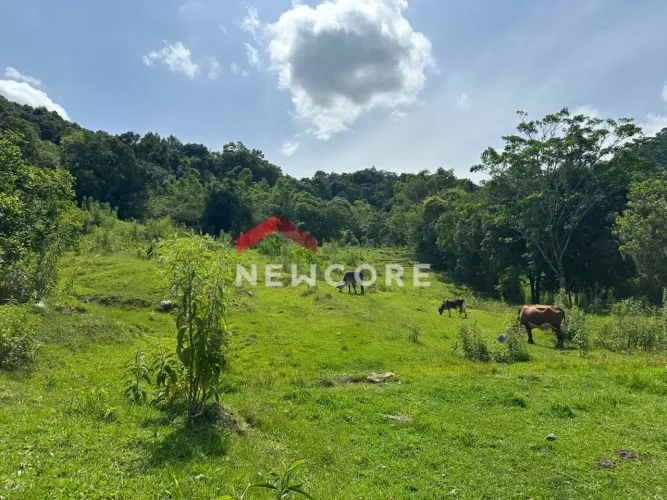 Sítio em Três Coroas - Centro - Três Coroas/RS
