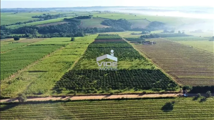 VENDO SÍTIO EM ARTUR NOGUEIRA | POSSUI NASCENTE E PRODUÇÃO DE LARANJA E LIMÃO.