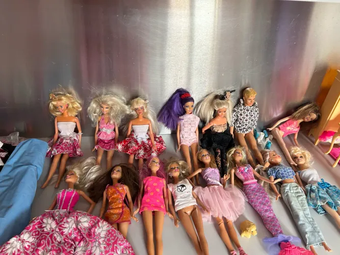 Kit bonecas barbie + roupas e acessórios da casa