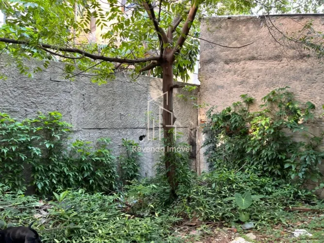 Terreno à venda em Casa Verde, São Paulo-SP com 500m² de área - A oportunidade que você es