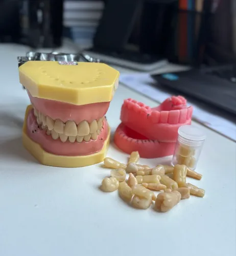 Manequim MOM Odontológico + gengiva de silicone + dentes artificiais