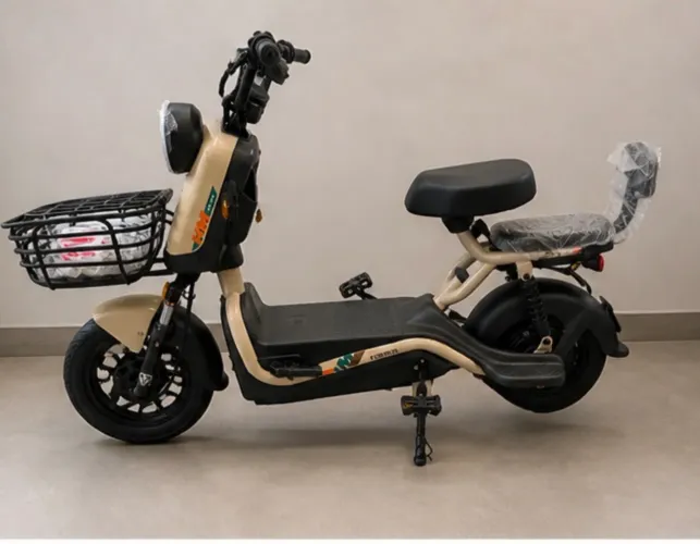 Bicicleta Elétrica J10 800w