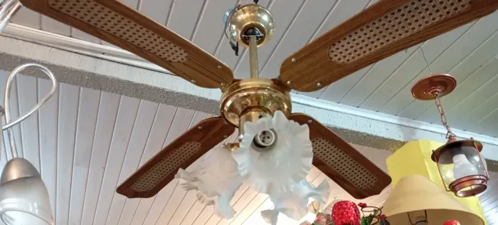 Ventilador de teto