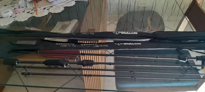 Duas varas de pesca
