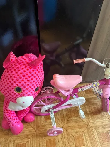 Bicicleta infantil e urso os dois por 130 reais 