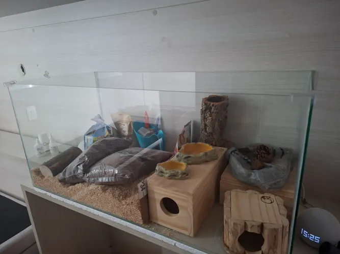 Terrário Hamsters