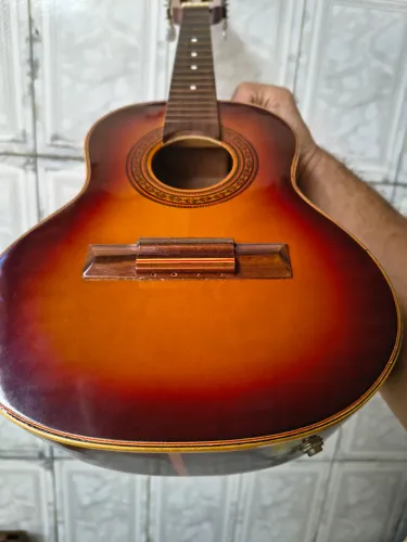 Cavaquinho Gianini elétrico estudo +capa+palheta