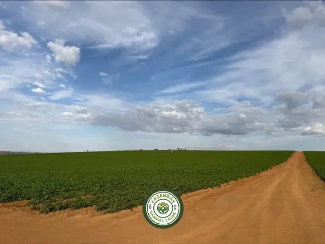 Fazenda irrigada de 140 hectares entre Araxá/Perdizes