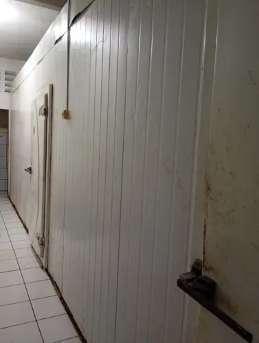 Camara fria de congelado e resfriado