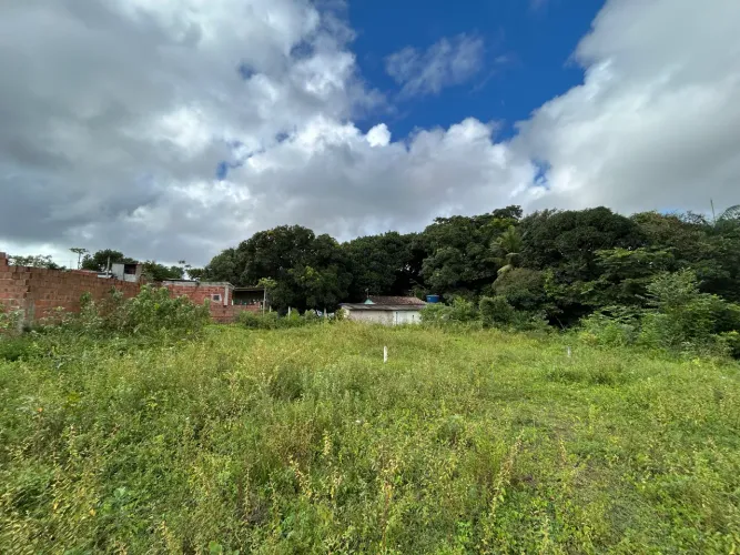 Vende-se estes terrenos