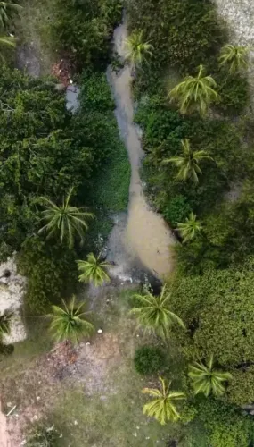 Fazenda com 329 hectares em Touros BR-101