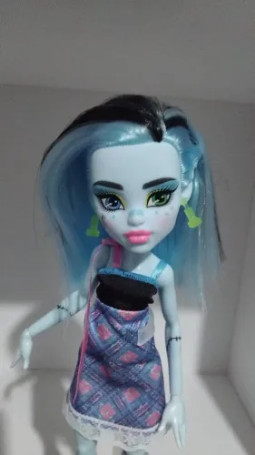 Buried Secrets: Cozy Creepover Frankie Stein Monster High G3