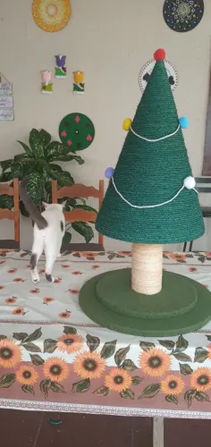 ÁRVORE ARRANHADOR PARA GATOS
